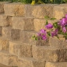Angelus Topline Wall Sand/Stone/Mocha 16 in. x 10 in. x 6 in. (48 pc./pallet)