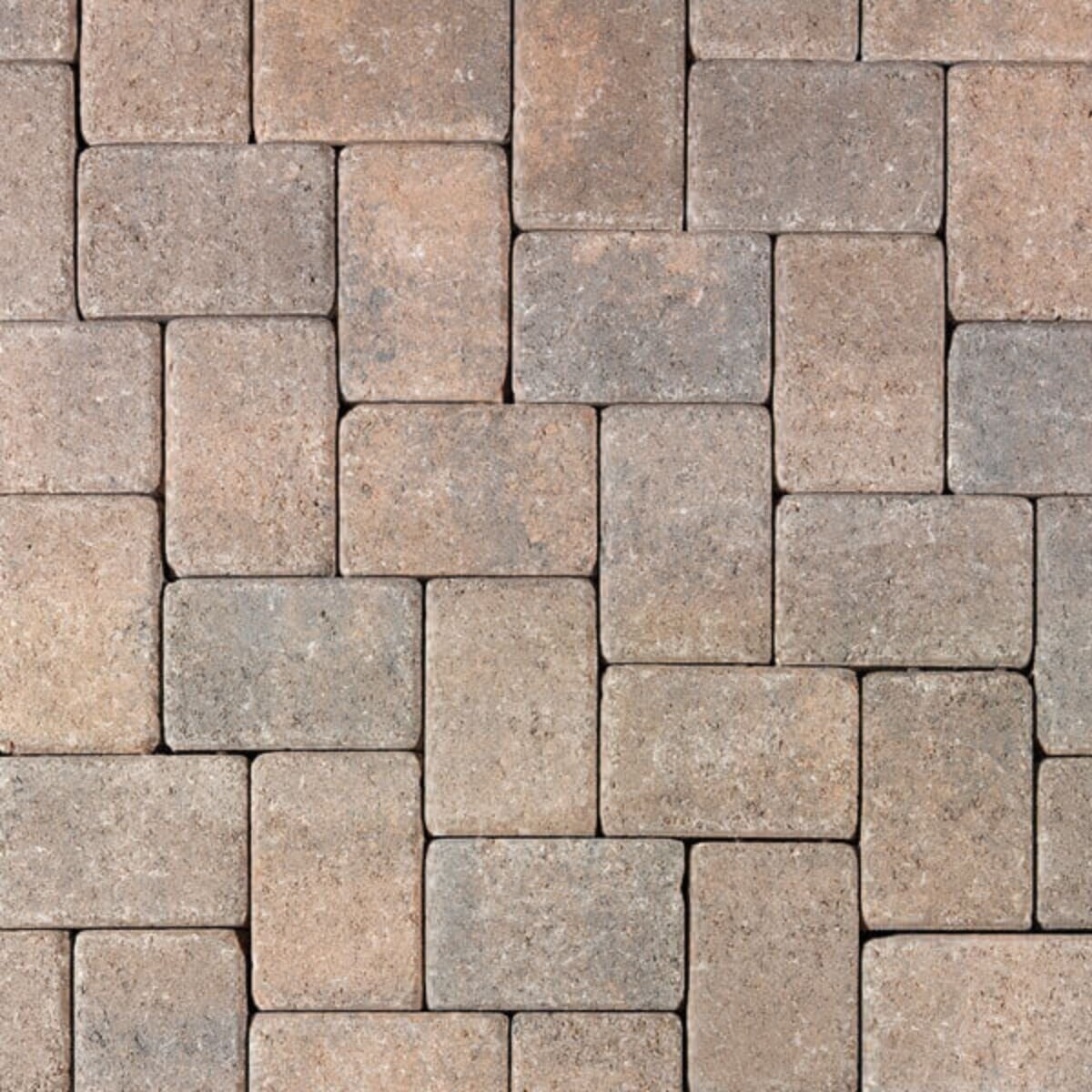 Angelus Antique Cobble I Paver Sand/Stone/Mocha Standard 60 mm (130 sq ...