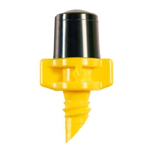 Mist Jet Yellow Winged Antelco