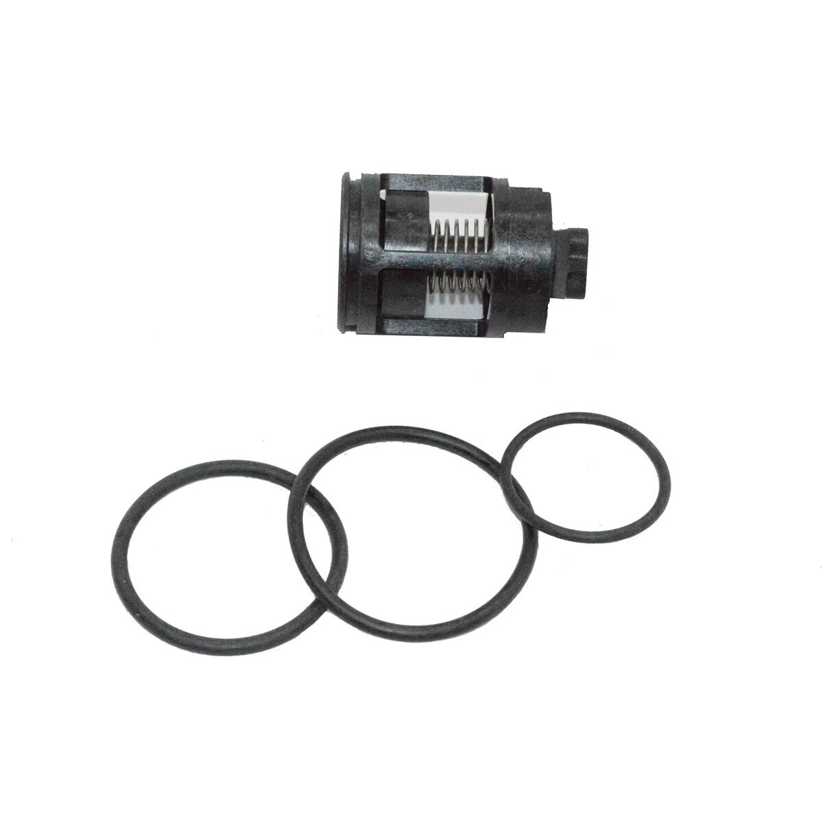 RP4A SECOND CHECK COMPLETE KIT 3/4 in | SiteOne US