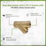 Brass Wye Strainer 3/4 in. FIPT