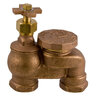 Aqualine Anti-Siphon Valve Brass 1 in.