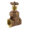 Aqualine 2 in. Brass Gate Valve W/ Cross Handle