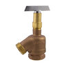 Aqualine Anti-Siphon Garden Valve Brass 1 in.