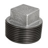 Aqualine 1 in. Galvanized Plug