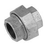 Aqualine 1-1/2 in. Galvanized Standard Union