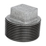 Aqualine 2 in. Galvanized Plug