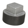 Aqualine 1-1/2 in. Galvanized Plug