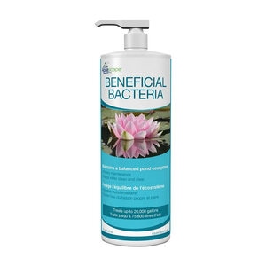 Aquascape Beneficial Bacteria For Ponds Liquid 1 ltr.