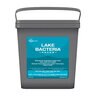 Aquascape Lake Bacteria 48/pkg.
