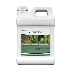 Algaecide 2.5 gal