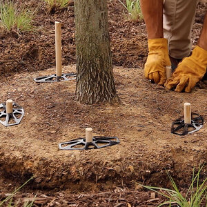 ArborStakes Stake & Lock Biodegradable 40 in.