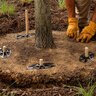 ArborStakes Biodegradable 52 in. Tree Stake & Lock Each