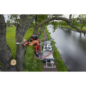 ArborJet Adjustable/Allen Wrench with Clean Out Tool, Drill Bit, Plug Setter