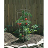 Panacea Steel Tomato Cage 3 Peg 3 Ring 42 in. x 12 in.