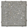 Artistic Desertlock Paver Polished Silver Sam 16 in. x 16 in. (160 sq. ft./pallet)