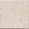 Artistic Shellock Paver Polished Ivory 12 in. x 12 in. (180 sq. ft./pallet)