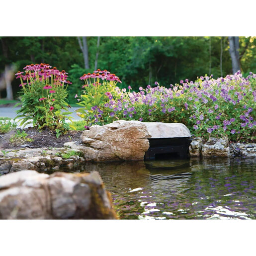 3900 Series Skimmer Oasis