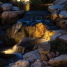Warm White Compact Spotlight