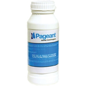 Pageant Intrinsic Fungicide 12 lb. (Agency)