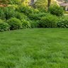 BASIC NutritioN 10-0-20 65% U-Plus 10%Fe Turfgrass Granular Fertilizer 50 lb. Bag