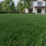 BASIC NutritioN 32-0-0 50% SN Turfgrass Granular Fertilizer 50 lb. Bag