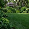 BASIC NutritioN Fertilizer 15-1-5 50% CRN Bio 1.8Fe 0.5Mn 50 lb.