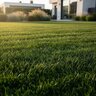 BASIC NutritioN 28-0-0 25% SN 2%Fe Turfgrass Granular Fertilizer 50 lb. Bag