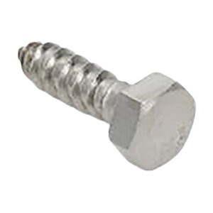 B-OEM Screw Lag 5/16 X1