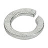 B-OEM Lock Washer 12m Plt