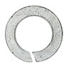 B-OEM Lock Washer 12m Plt