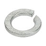 B-OEM Lock Washer 12m Plt
