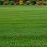 BRANDT NOCULATE Fertilizer 8-3-17E MU 4Fe 1Mg 3.1Mn ELITE 50 lb.