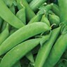 Sugar Snap Peas