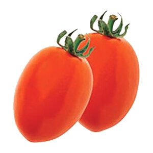 Tomato Roma Vf