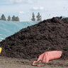 BarrTech Green Compost Bulk (per cu. yd.)