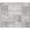 Basalite Sierra Collection Paver Arctic Gray 12 in. x 12 in. 60 mm (122 sq. ft./pallet)