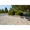 Basalite Italian Renaisssance Premier Paver Positano 6 in. x 6 in. 60 mm (108 sq. ft./pallet)