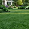 BEATY Fertilizer 24-0-6 65% CRN MOP 50 lb.