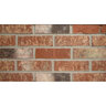 Belden Continental A40X Modular Cored Face Brick (510 pc./pallet)