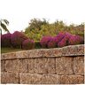 Belgard Castle Manor Wall Cap Toscana (72 pc./pallet)