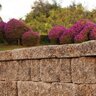 Belgard Castle Manor Wall Cap Amaretto (80 pc./pallet)