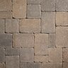 Belgard Dublin Cobble Paver Cotswold 6 in. x 9 in. 60 mm (112.5 sq. ft./pallet)