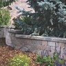 Belgard Shelton Wall Cap Tumbled Riviera (72 pc./pallet)