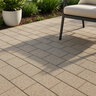 Belgard Holland Stone Paver Graphite 4 in. x 8 in. 60 mm (120 sq. ft./pallet)