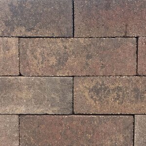 Belgard Castle Manor Wall Cap Tumbled Harvest Blend (80 pc./pallet)