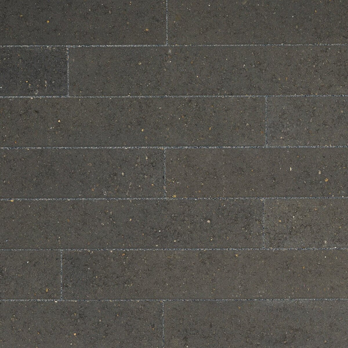 Belgard Moduline Dark Charcoal 6 in. x 6 in. 80 mm (96 sq. ft./pallet ...