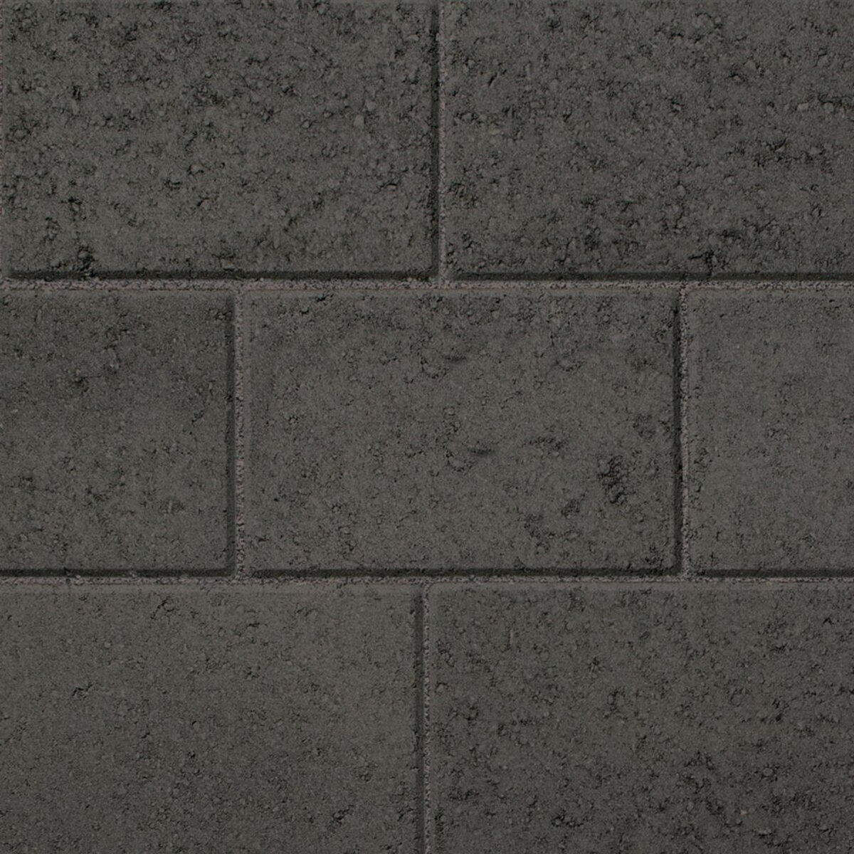 Belgard Dimensions Paver Graphite ColorGuard 12 in. x 24 in. 60 mm (120 ...