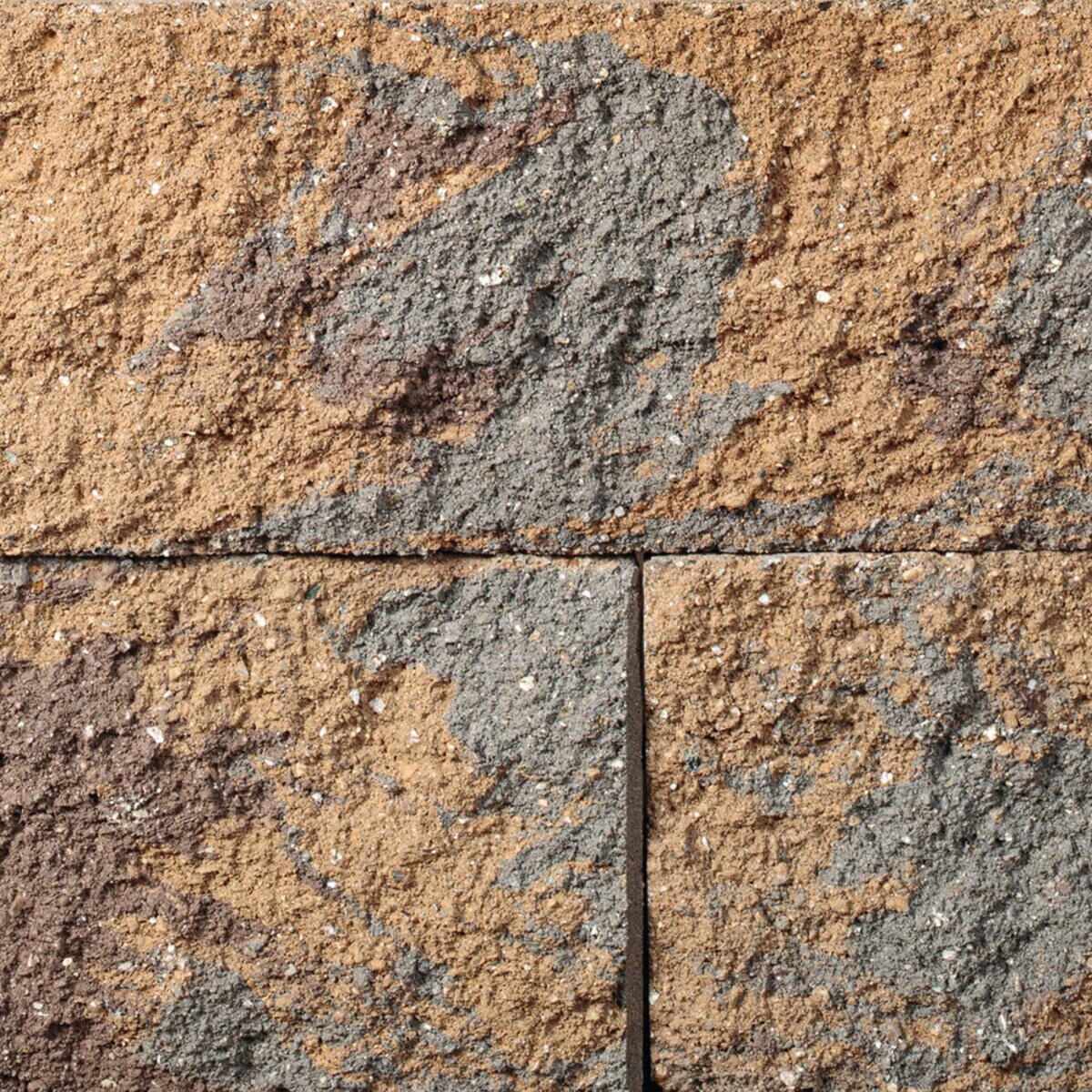 Belgard Sterling Wall FSW Toscana 173/4 in. x 12 in. x SiteOne