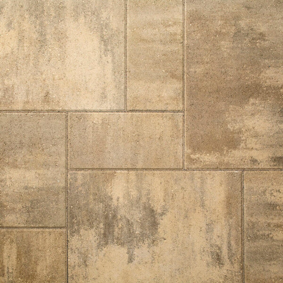 Belgard Dimensions Series Paver ColorGuard Montecito 24 in. x 24 in. 60 ...